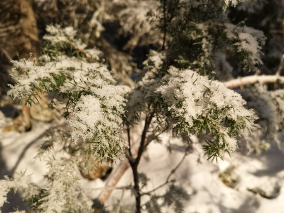 Emil Aaltosen Säätiö (@easaatio) on Twitter photo Kaksi päivää aikaa hakea apurahaa Emil Aaltosen Säätiöltä! Verkkopalvelin sulkeutuu la 15.2.2025 klo 23.59. Neuvontapalvelut eivät kuitenkaan ole enää viimeisenä hakupäivänä käytössä. 
emilaaltonen.fi/apurahat/hae-a… #easaatiotutkimustatukemassa Kaksi päivää aikaa hakea apurahaa Emil Aaltosen Säätiöltä! Verkkopalvelin sulkeutuu la 15.2.2025 klo 23.59. Neuvontapalvelut eivät kuitenkaan ole enää viimeisenä hakupäivänä käytössä. 
emilaaltonen.fi/apurahat/hae-a… #easaatiotutkimustatukemassa