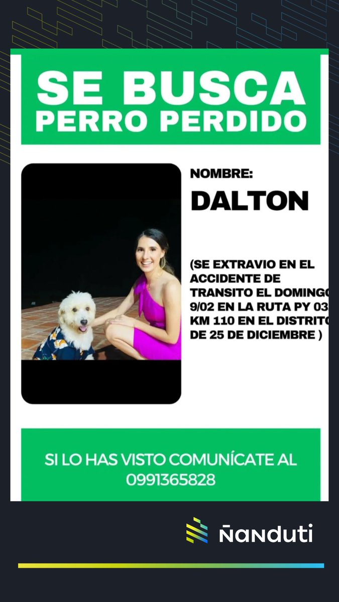 Ñanduti tweet media