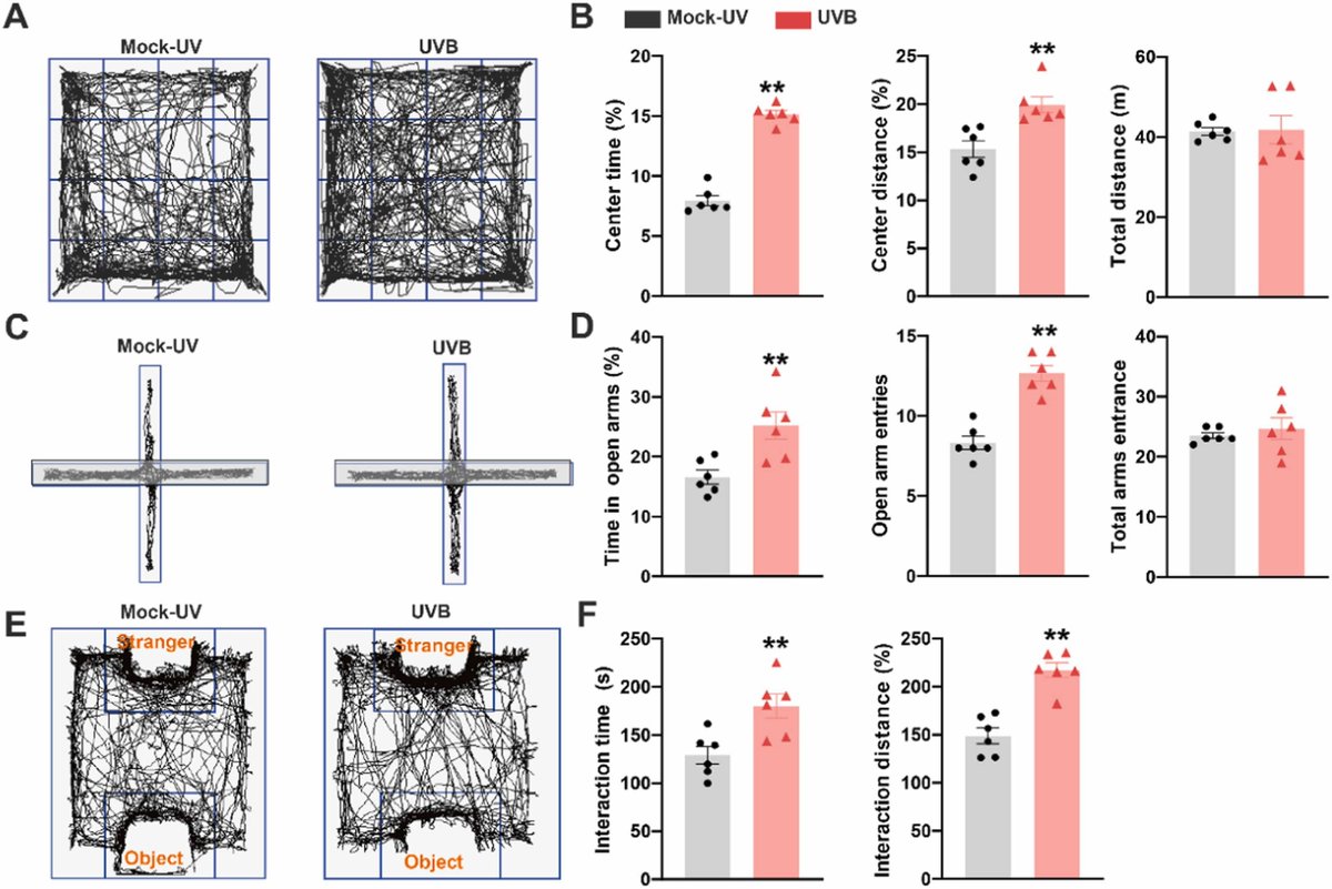 heniek_htw's tweet image. Moderate #ultraviolet radiation B exposure ameliorate chronic #stress-induced #anxiety and social impairment by activating mPFC to basal lateral #amygdala pathway

news on:
bsky.app/profile/heniek…
