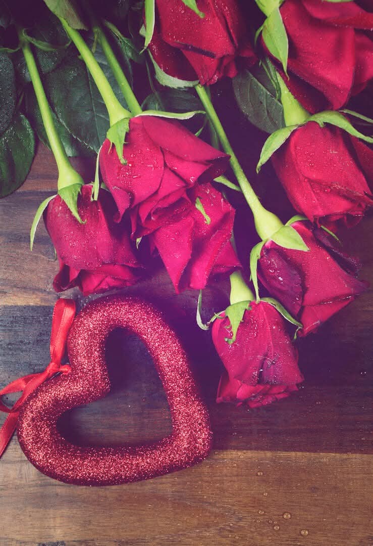 <a href="/FoziaRa50497530/">Fozia Raza</a> Beautiful valentines 💝 ♥️ ❤️ 💖 💕