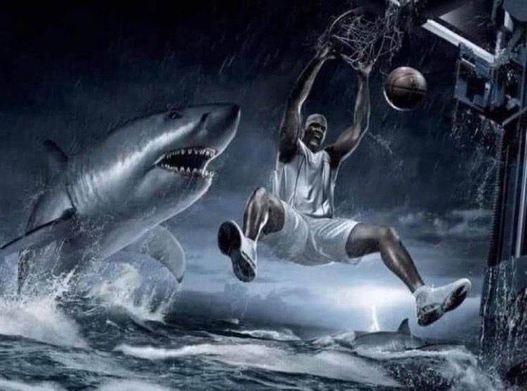 NoxSbuu's tweet photo. @ShitpostGate Hell yeah https://t.co/TbapHya8pQ