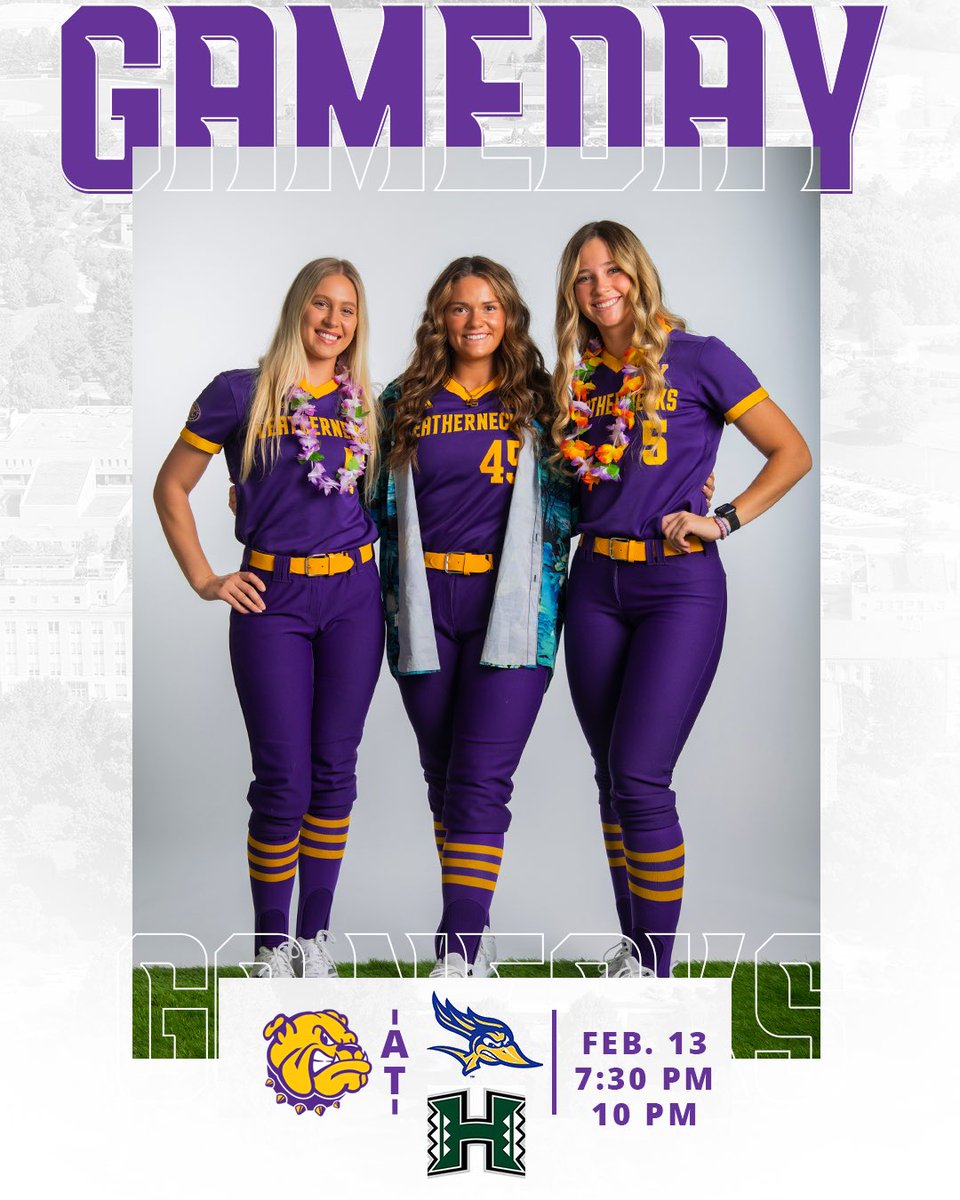 Time for the Hawai’i Spring Fling Softball Tournament 👏🏻👏🏻👏🏻

🆚 CSU Bakersfield  / Hawai’i
⏰ 7:30 PM / 10 PM
📍 Honolulu, HI 
📊 linktr.ee/westernillinoi…

#GoNecks | #OneGoal