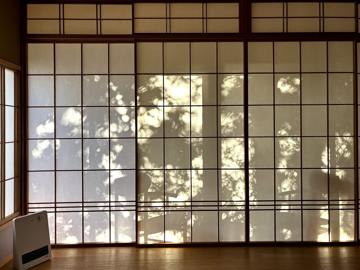 new_fan2's tweet image. 障子は光を愉しむためのものだ