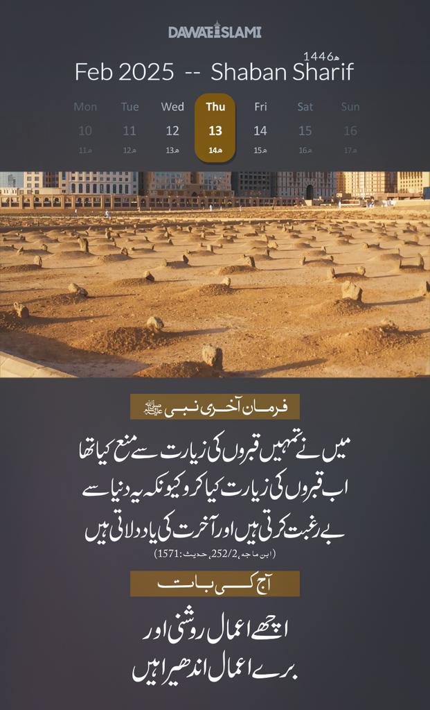 Zareena Afridi🫅 tweet media