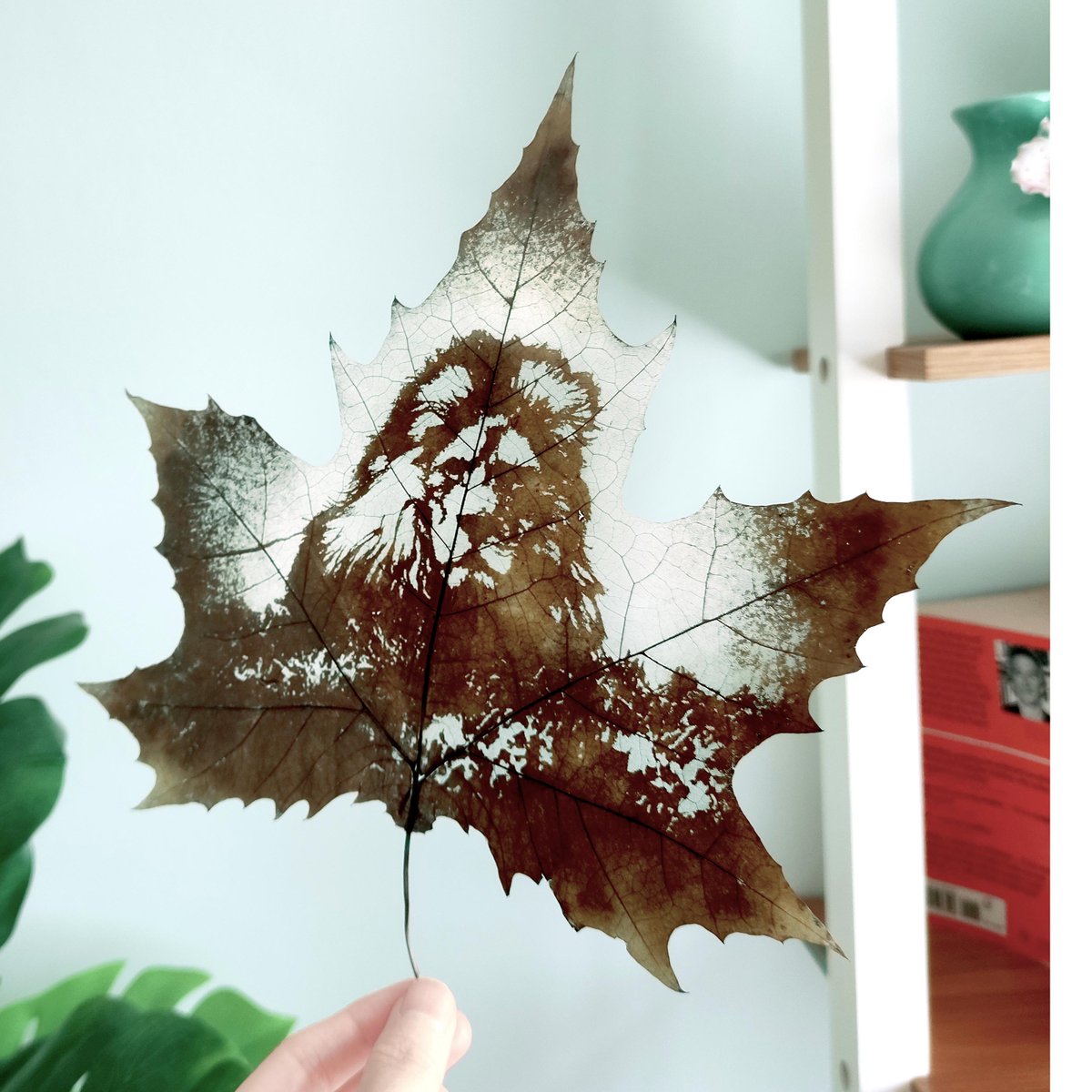 Flora_Whisper's tweet photo. Unleash your inner strength with our Wild Lion Leaf Carving Art! Handmade from fallen leaves, this eco-friendly piece embodies nature’s beauty. 🌿🦁 #WildLionArt #LeafCarving #NatureInspired https://t.co/dVPxBSXsNy