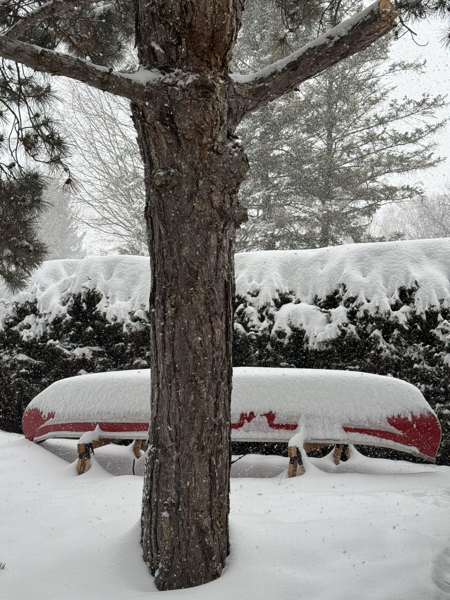 JThomasABC's tweet image. For Canadian kids, not much beats the joy of waking up to discover that school is cancelled and the world is a snow globe.  🌨️

#poetryforchildren #ONStorm