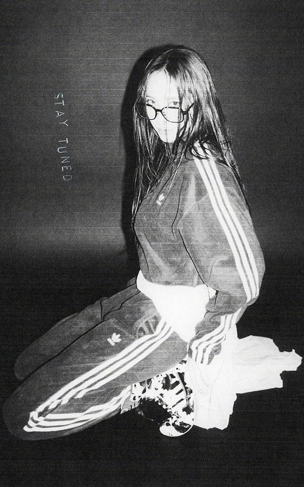 수정이 저장소 tweet media