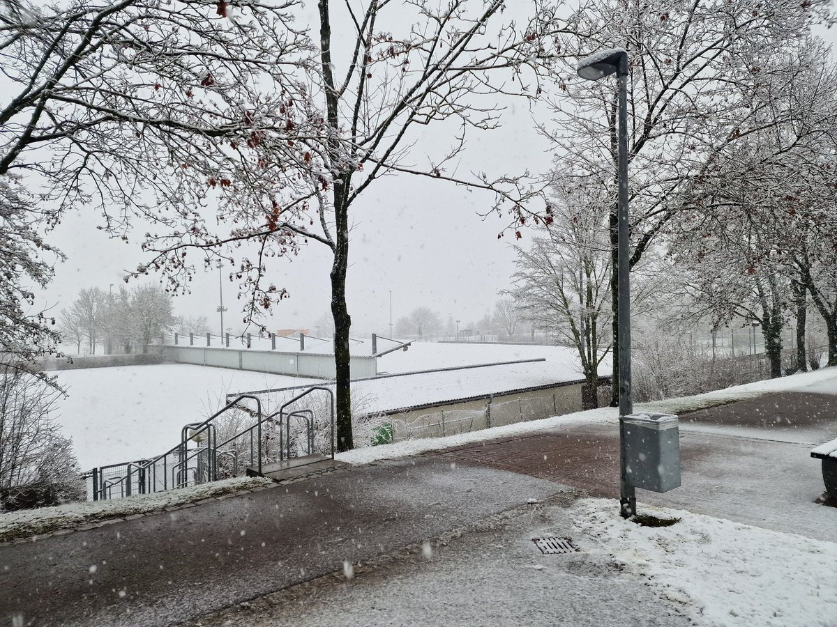 Yaya geçitleri &amp; Otobüs durakları tuzlandığına göre Mızaffer eve kaçar