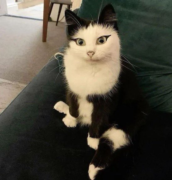 Még neki is sikerült a tusvonal... neked mi a kifogásod?