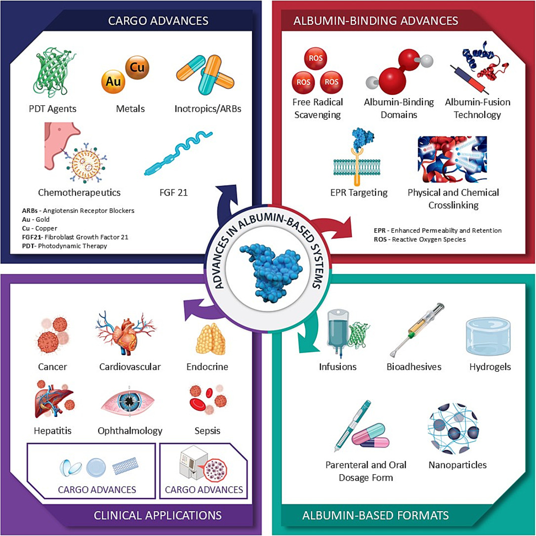 JCRnEDITORS's tweet image. Albumin-based delivery systems: Recent advances, challenges, and opportunities.
| Abhay Pandit, Univ. of Galway | @UKICRS 
[50 days' free access]
#albumin #nanoparticle #conjugate #modeling 
kwnsfk27.r.eu-west-1.awstrack.me/L0/https:%2F%2…