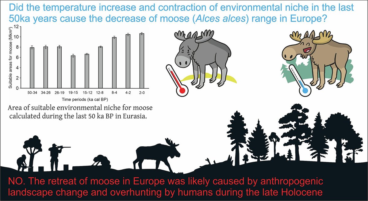 On #moose/#elk in Europe "the retreat of A. alces in large areas of Europe was likely caused by anthropogenic landscape change (..) and overhunting by humans during the late #Holocene rather than by climate warming" sciencedirect.com/science/articl… #alces #defaunation #Holocene #megafauna