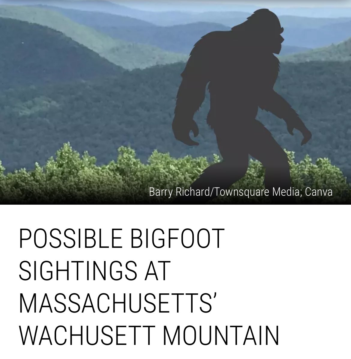 Bill Shaner tweet media