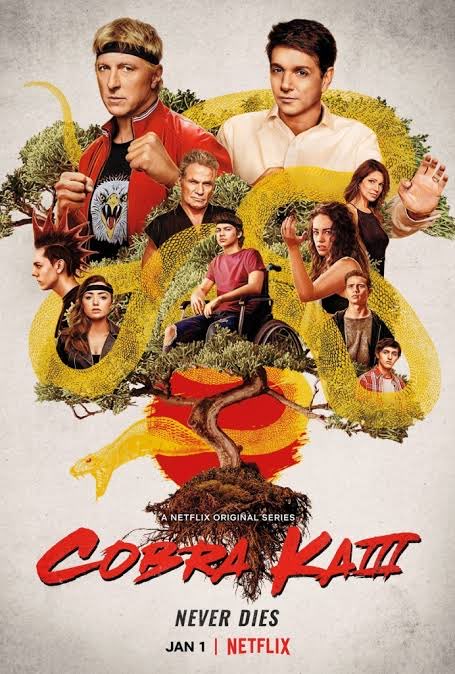 Shuttlecock's tweet image. Cobra Kai.

Perfection from beginning to end.

By far the best legacy sequel to any property.

Watch it if you haven’t. #CobraKai #KarateKid