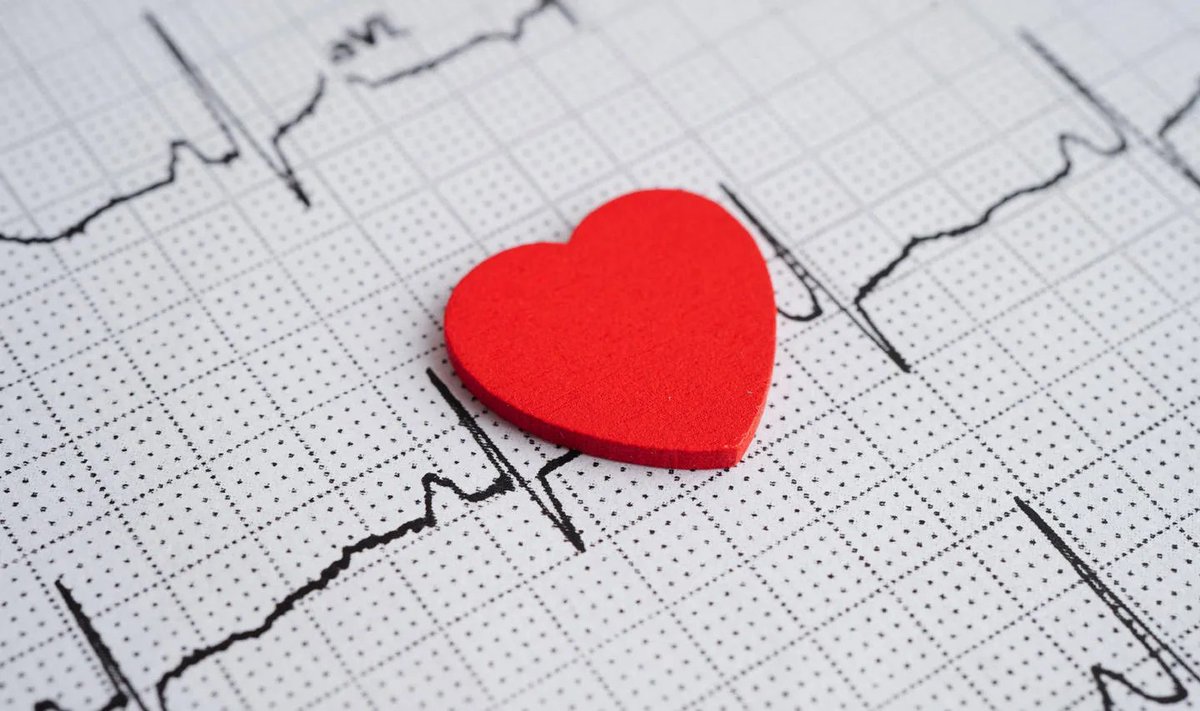 UoB School of Medical Sciences (@uobmedicalsci) on Twitter photo Throughout <a href="/unibirmingham/">Uni of Birmingham</a>'s 125 year history, researchers have been leading innovation in heart and circulatory disease. Learn more about this progress and the modern-day research to keep hearts beating steadily. <a href="/unibirm_CMH/">College of Medicine and Health (UoB)</a> <a href="/CVS_UoB/">Cardiovascular Sciences (CVS)- UoB</a> #ValentinesDay birmingham.ac.uk/news/2025/keep… Throughout <a href="/unibirmingham/">Uni of Birmingham</a>'s 125 year history, researchers have been leading innovation in heart and circulatory disease. Learn more about this progress and the modern-day research to keep hearts beating steadily. <a href="/unibirm_CMH/">College of Medicine and Health (UoB)</a> <a href="/CVS_UoB/">Cardiovascular Sciences (CVS)- UoB</a> #ValentinesDay birmingham.ac.uk/news/2025/keep…