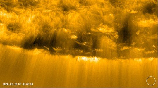 SimplyAstronomy's tweet photo. For decades, scientists have wondered how the sun’s solar wind—a constant stream of charged particles—travels across the solar system, shaping space weather and impacting everything from satellites to Earth’s atmosphere. Thanks to the European Space Agency’s Solar Orbiter, we now know tiny plasma jets on the sun’s surface are the driving force behind this incredible phenomenon!

These jets, no bigger than a fraction of the sun’s surface, release bursts of energy that propel both fast and slow solar winds outward into space. This groundbreaking discovery reveals how even the smallest solar processes contribute to vast cosmic events, helping us better understand the sun’s influence on the universe.

Understanding solar winds is also critical for predicting space weather, protecting astronauts on deep-space missions, and ensuring the stability of modern technologies like GPS and power grids on Earth. 

#space #astrofact #astronomy #news #astrophotography #nasa #spacex #astrophysics #telescope #science #hubble