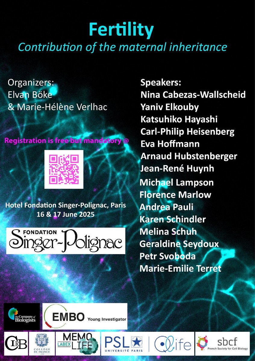 BökeLab (@labboke) on Twitter photo <a href="/MHVerlhac/">Marie-Hélène Verlhac</a> and I are organising a *FREE* meeting on “Fertility: contribution of maternal inheritance” in beautiful Paris this summer! 😎 Registration is free but mandatory - please see info below, and consider submitting an abstract for a short talk! - EB
singer-polignac.org/en/colloques-s… <a href="/MHVerlhac/">Marie-Hélène Verlhac</a> and I are organising a *FREE* meeting on “Fertility: contribution of maternal inheritance” in beautiful Paris this summer! 😎 Registration is free but mandatory - please see info below, and consider submitting an abstract for a short talk! - EB
singer-polignac.org/en/colloques-s…