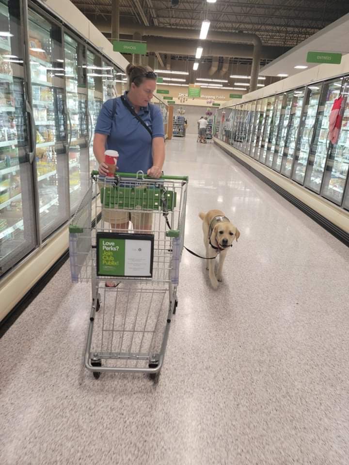 Robert Irvine Foundation (@rirvinefound) on Twitter photo Trained service dogs are truly incredible. The Robert Irvine Foundation is proud to be able to provide fully trained service dogs by our partner <a href="/paws4people/">paws4people</a> to veterans and first responders in need. These trustworthy, loyal, and well-trained pups can help heroes Trained service dogs are truly incredible. The Robert Irvine Foundation is proud to be able to provide fully trained service dogs by our partner <a href="/paws4people/">paws4people</a> to veterans and first responders in need. These trustworthy, loyal, and well-trained pups can help heroes