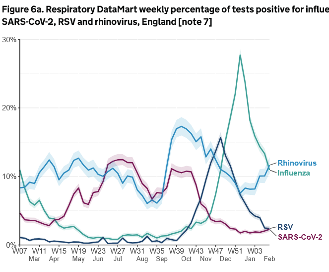 Dr Charlotte Houldcroft tweet media