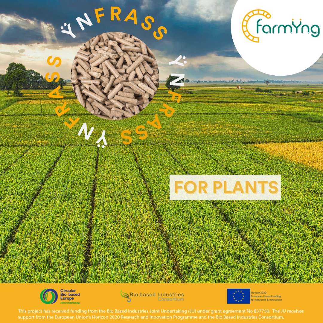 At Farmÿng, we produce ŸnFrass, a premium organic fertilizer from mealworms, supporting regenerative &amp; sustainable agriculture. 🌱
✅ Enriches soil &amp; boosts microbial life
✅ Provides key nutrients (N-P-K)
✅ Circular &amp; eco-friendly
Follow us to learn more!
#YnFrass #SoilHealth
