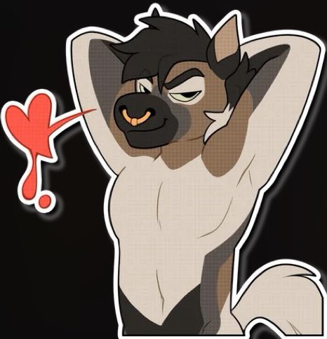 Kizma Husky tweet media