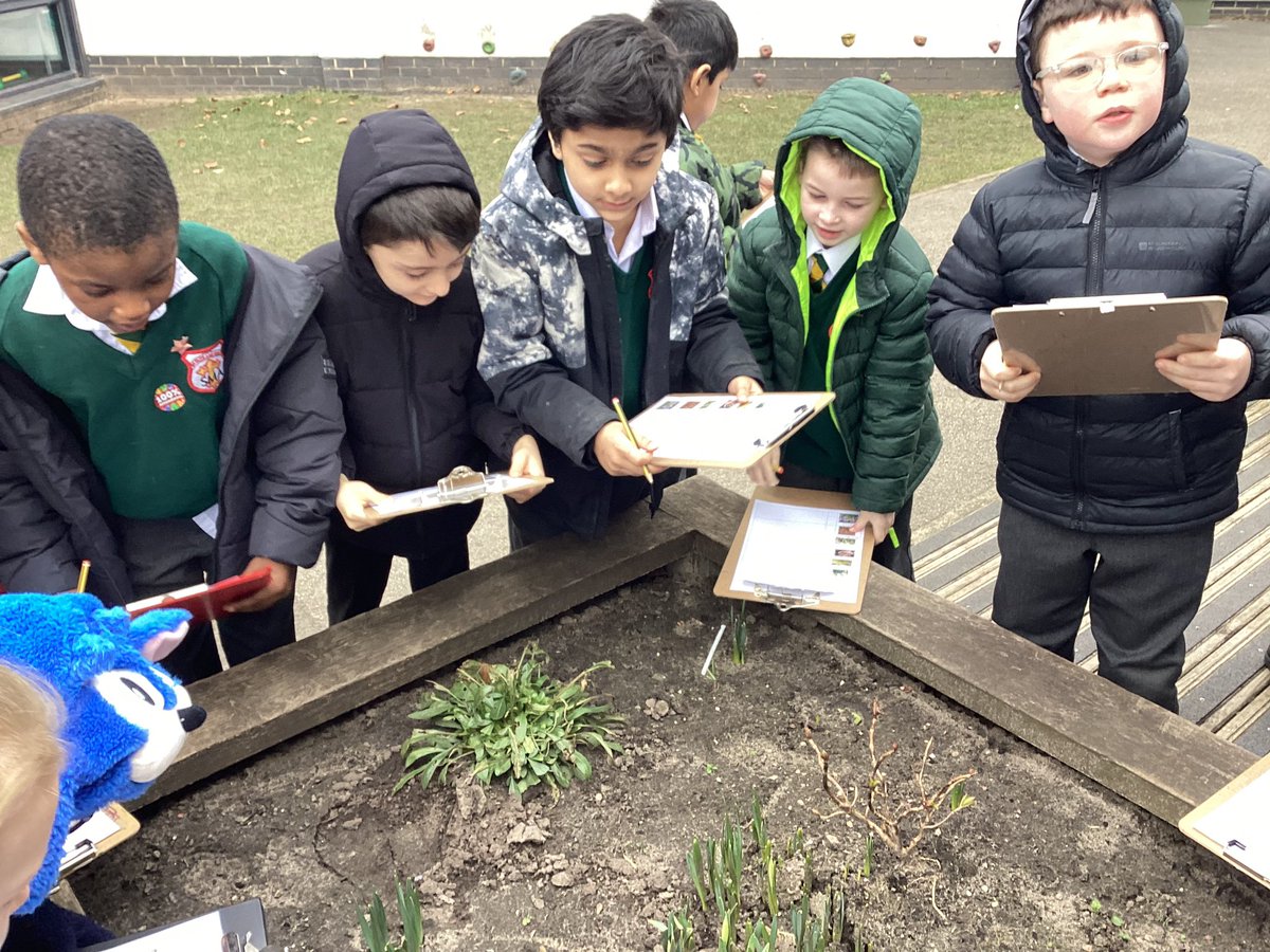 SMA_Year2's tweet photo. Today we have been harvesting seeds and roots to see how they will grow over time. We’ve also been on a hunt around school to see what flowers we can spot. @StMargarets_  #SMAScience https://t.co/zFLWc76t8G