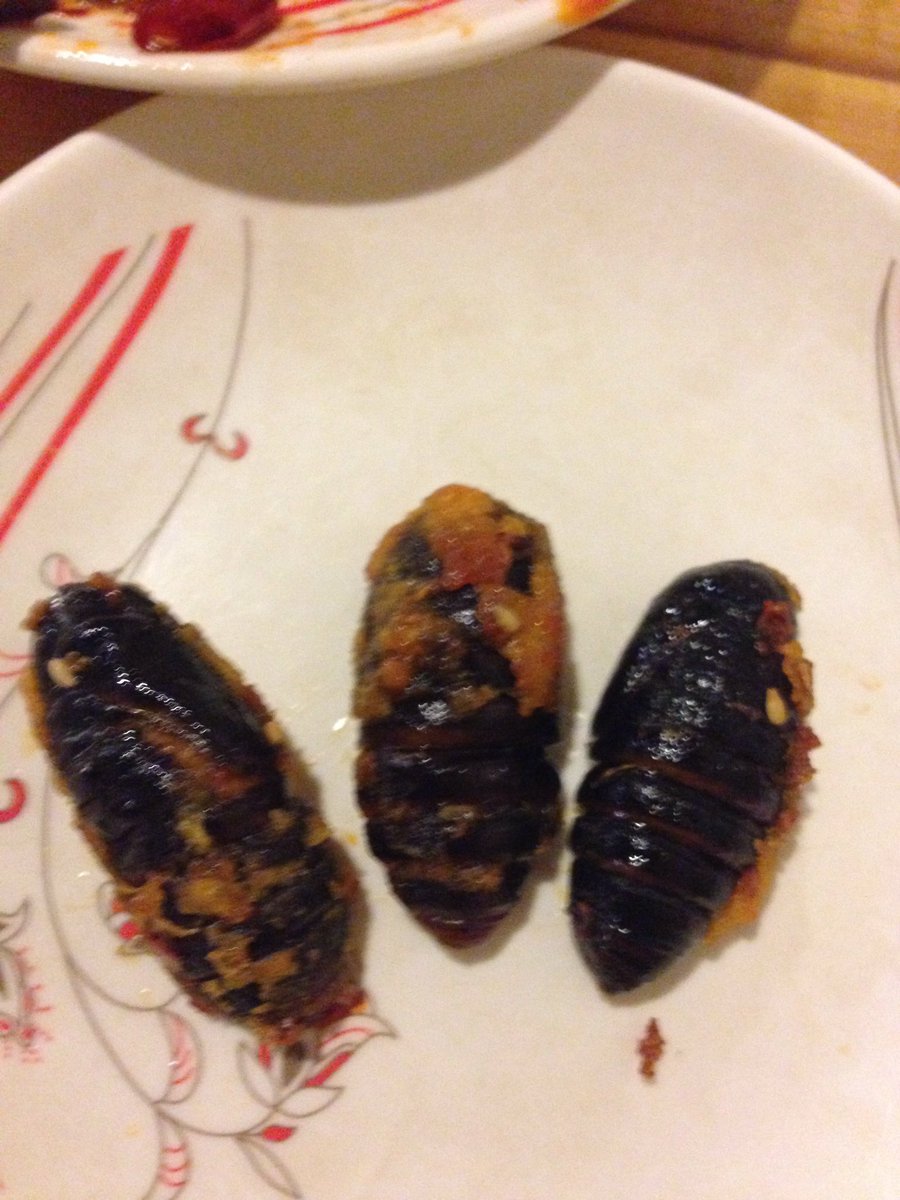 俺男だし普通に浮気とかしてるよ？
モテすぎて困る😅

でさ、俺の趣味を料理が設定だから
弁当とかにしてうまいこと持ち帰って
浮気相手の作った料理を彼女に食べさせて
彼女が作った料理を浮気相手に食べさせてるんだけど

お互いに「美味しい！」って絶賛し合っててなんか嬉しい気持ちになった！