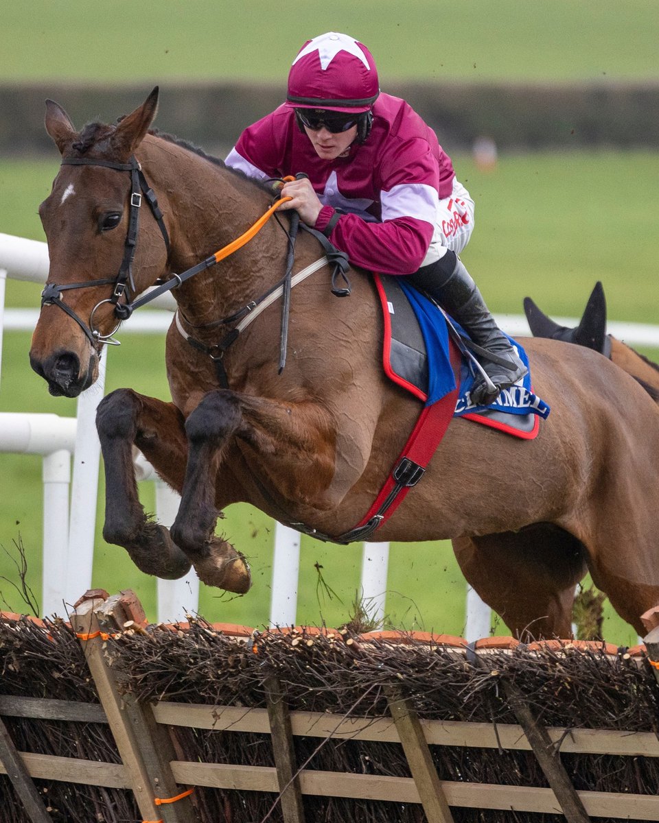 The impressive BALLYBOW (IRE) made it 2 in a row when he took the G3 Novice Hurdle under <a href="/sam_ewing17/">sam ewing</a> at <a href="/ClonmelR/">ClonmelRaces</a> for <a href="/gelliott_racing/">Gordon Elliott</a> &amp; Gigginstown House Stud. 🤩 

Bred by Drumlin Bloodstock the 6yo by Flemensfirth is a <a href="/Tattersalls_ie/">Tattersalls Ireland</a> Derby Sale graduate consigned by Glenvale