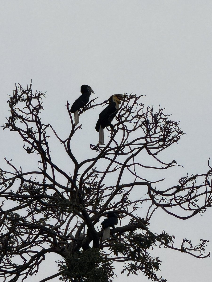 Aniketh MJ tweet media