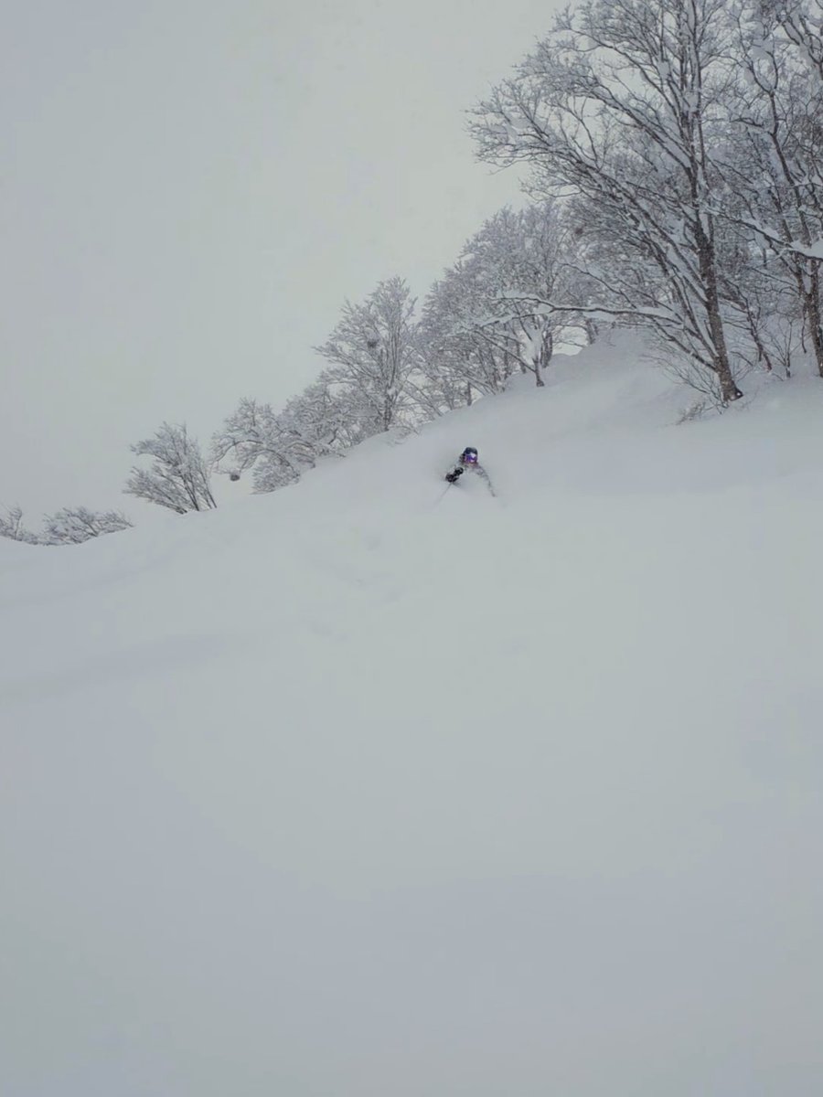 YukiOtoko tweet media