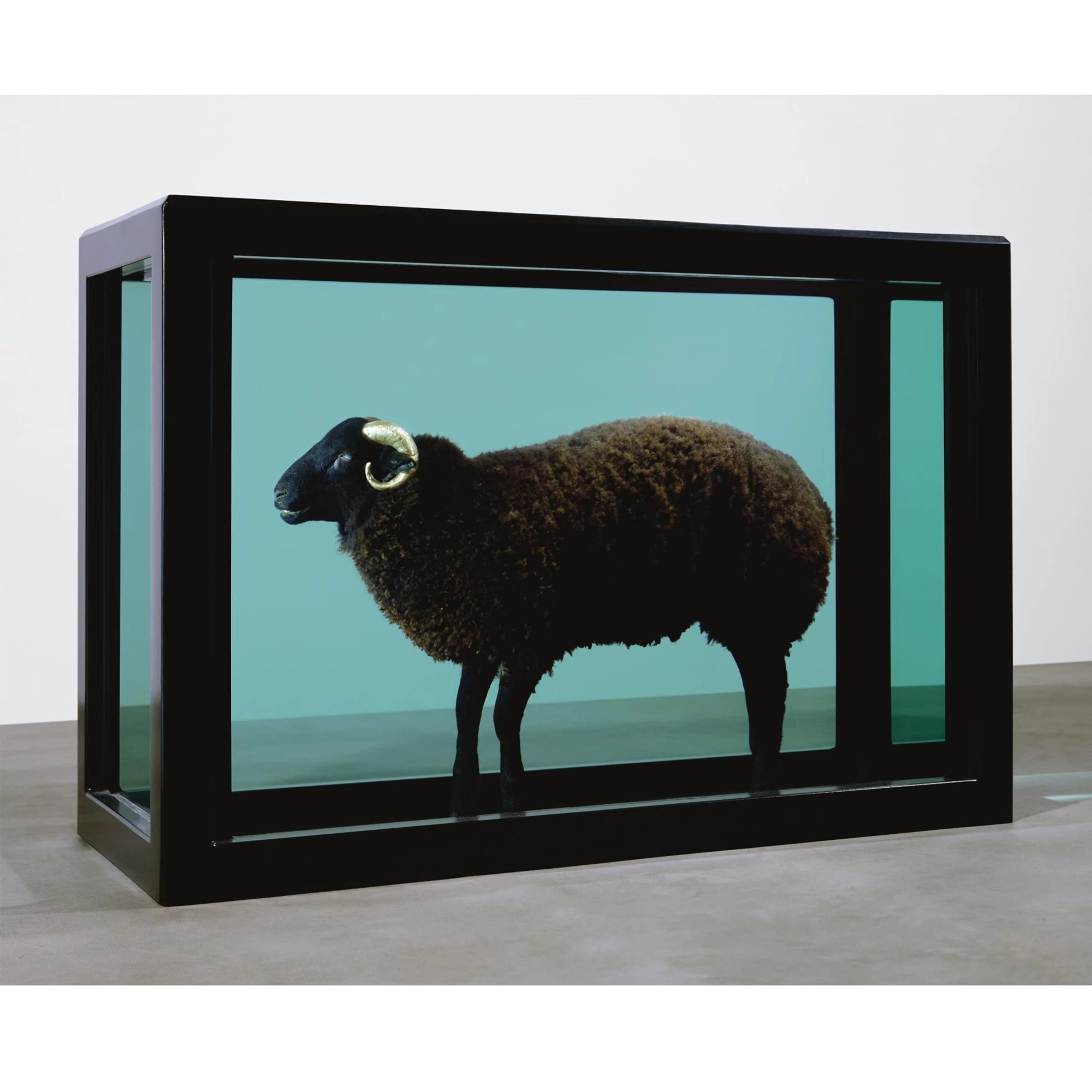 DimMoire Beloved sheep ロンT BLACK DimMoire Beloved sheep ロンT BLACK Unisex Hoodie