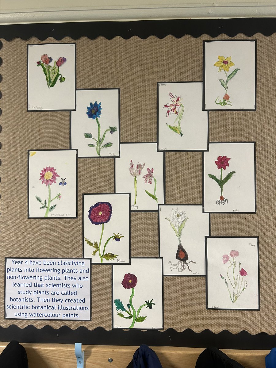 Year 4 have been classifying plants and learning about botanists. They then created some scientific botanical illustrations using watercolour paints. Well done! <a href="/PKCKST/">Primary Knowledge Curriculum</a>
