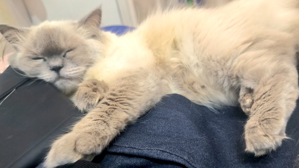 attyyugen's tweet image. 𖥔 ݁ ˖. ݁₊ ⊹ . ݁˖ . ݁:･ﾟ✧:･.☽˚
        O2/13/25
          ╰┈➤ 
 Migraine the whole afternoon/evening 🤧🤧🤧ᯓᡣ𐭩

[ #studytwt #studyph #archivetwt ]