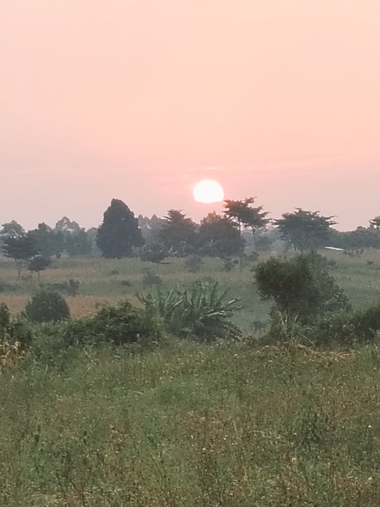 The Rise☀️ and Set☀️