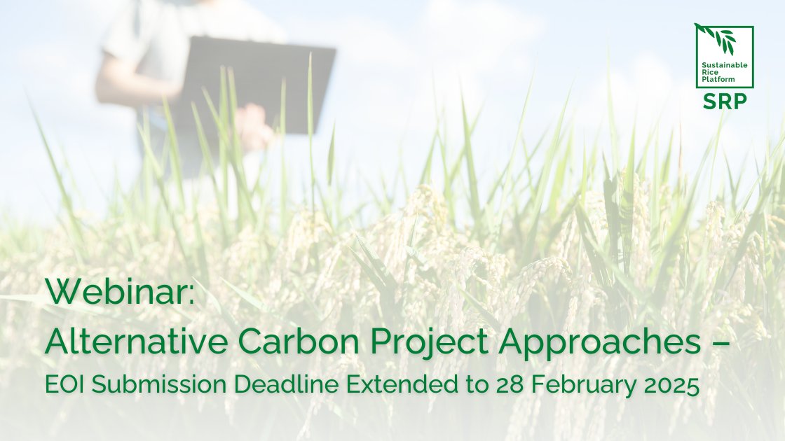 Join SRP’s Webinar on Alternative Carbon Project Approaches!

📅 18 Feb 2025
⏰ 3:00–4:00 PM ICT
 📍Online (MS Teams)

SRP members interested in participating in pilot carbon credit projects now have until 28 Feb 2025 to submit their (EoI). 

Learn more: sustainablerice.org/srp-webinar-al….