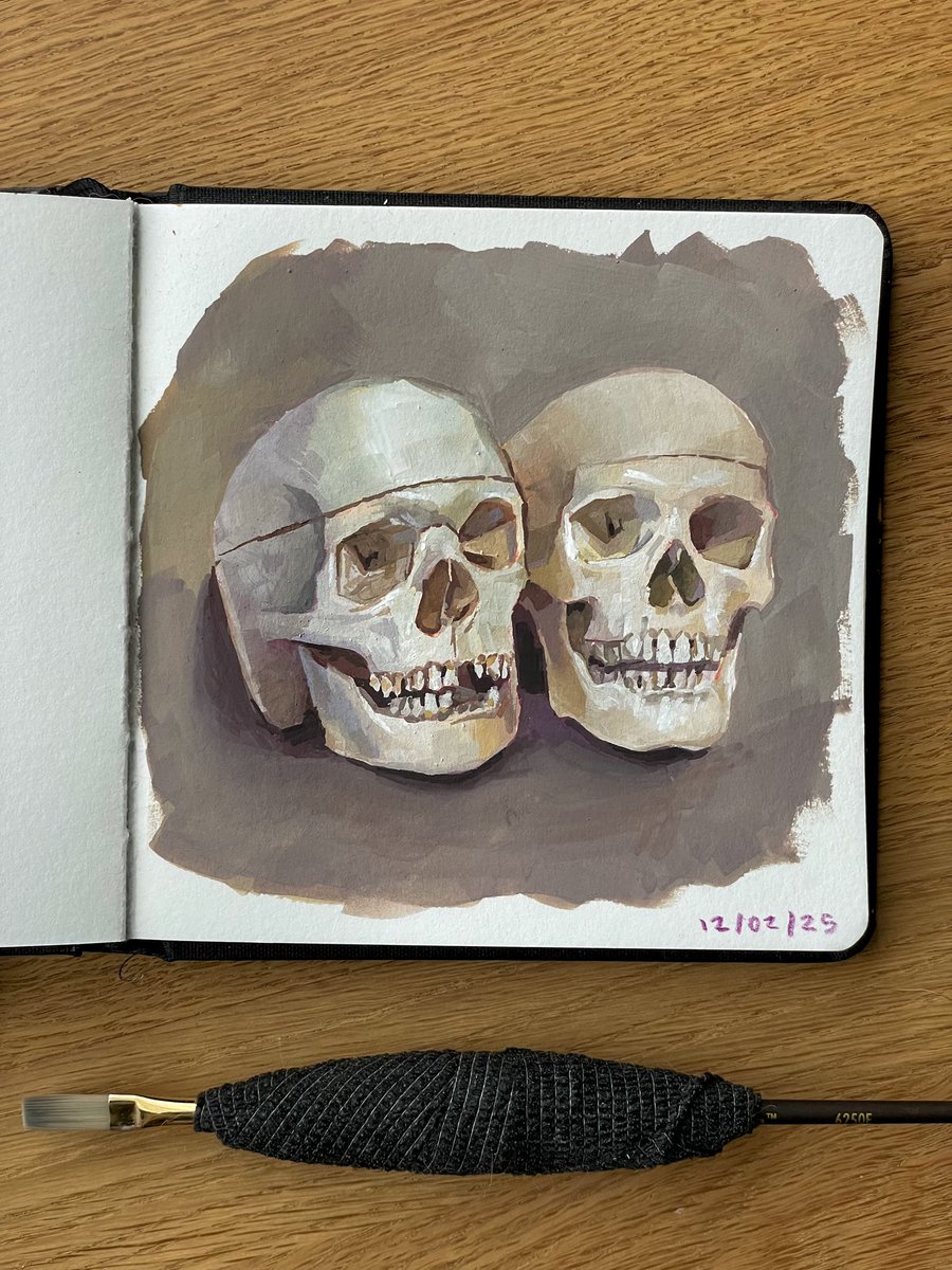Skull sketchbook study in gouache