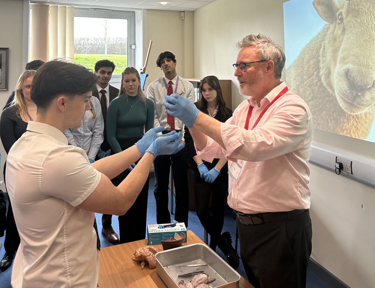 Our Year 13 A Level Psychology learned all about neuroscience in a fascinating "Brain Day" with Dr Guy Sutton. They dissected a sheep brain, explored whether there is a 'criminal brain' and also discussed the effects of vaping and smart phones on the teenage brain!