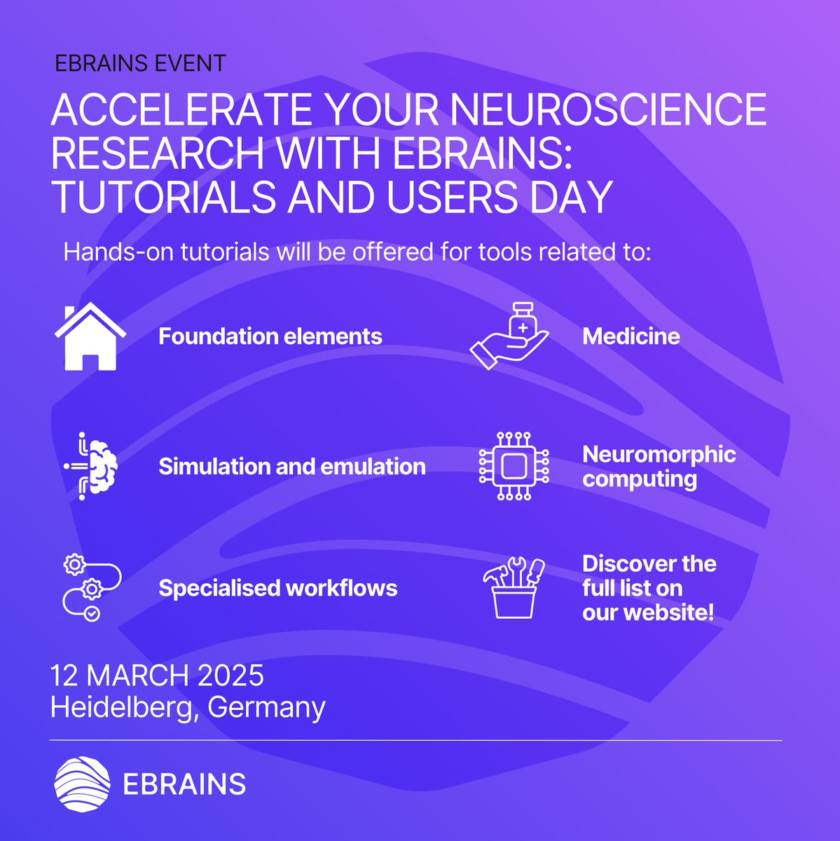 Would you like to learn how the Open Science Tools on EBRAINS can accelerate your neuroscience research?

Make sure to register for the EBRAINS Tutorials and Users Day in Heidelberg on 12 March!

Hands-on tutorials will be offered for tools related to simulation, medicine,