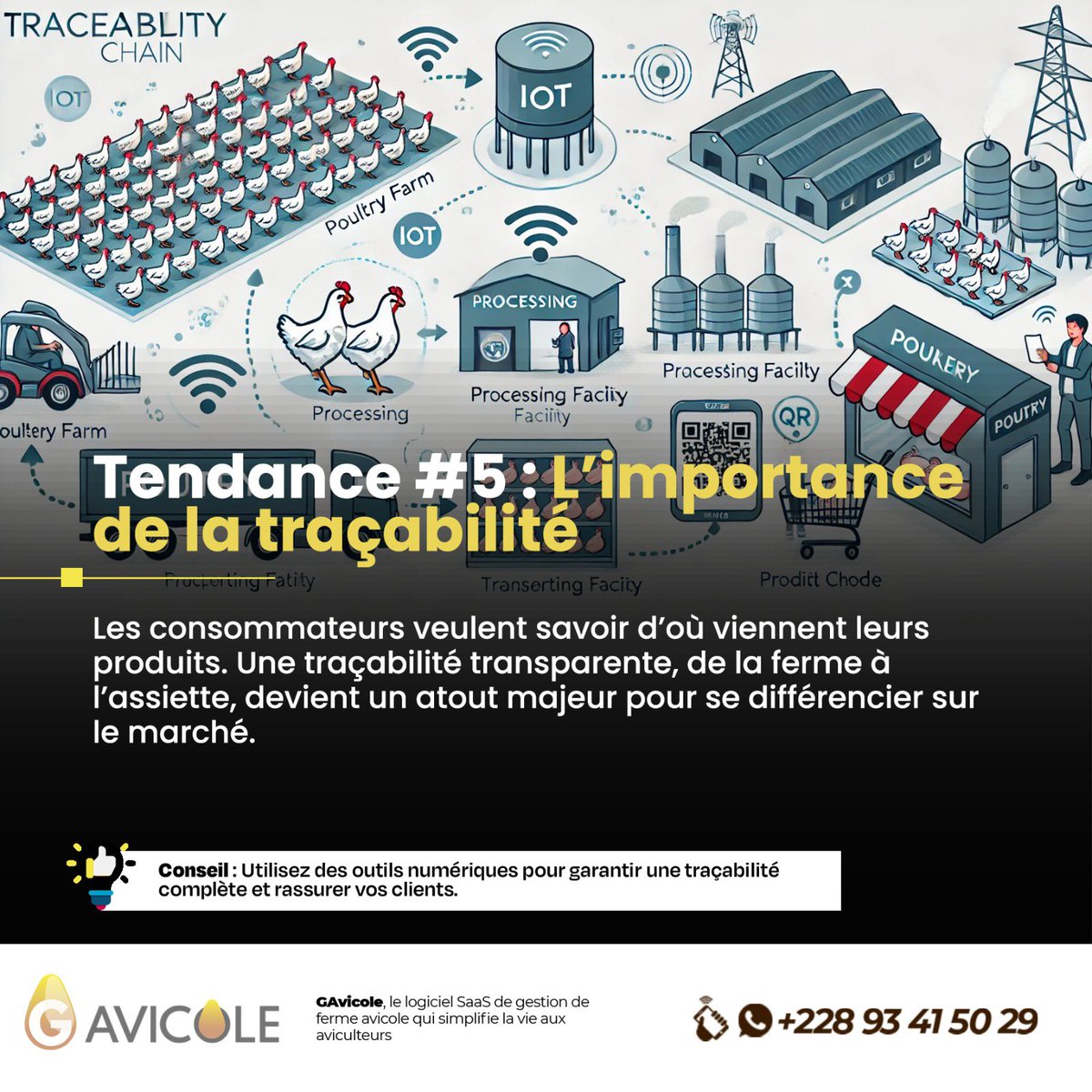 G Avicole tweet media