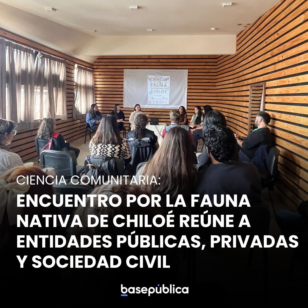 “Ciencia por la Fauna Accidentada de Chiloé” se centró en encontrar soluciones y visibilizar los atropellos y problemas de conservación de especies nativas y silvestres que habitan el archipiélago.
Link: bit.ly/4b0Gi09