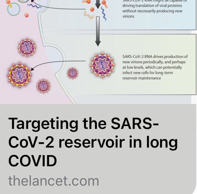Published. Persistence of Virus  must be addressed. 16M affected! So many questions. What is the cause—the infection or the vaccine or both? Is Spike the culprit? How do we treat it? Consequences of persistence? Will this be the next HPV? Could it have been prevented? #LongCovid