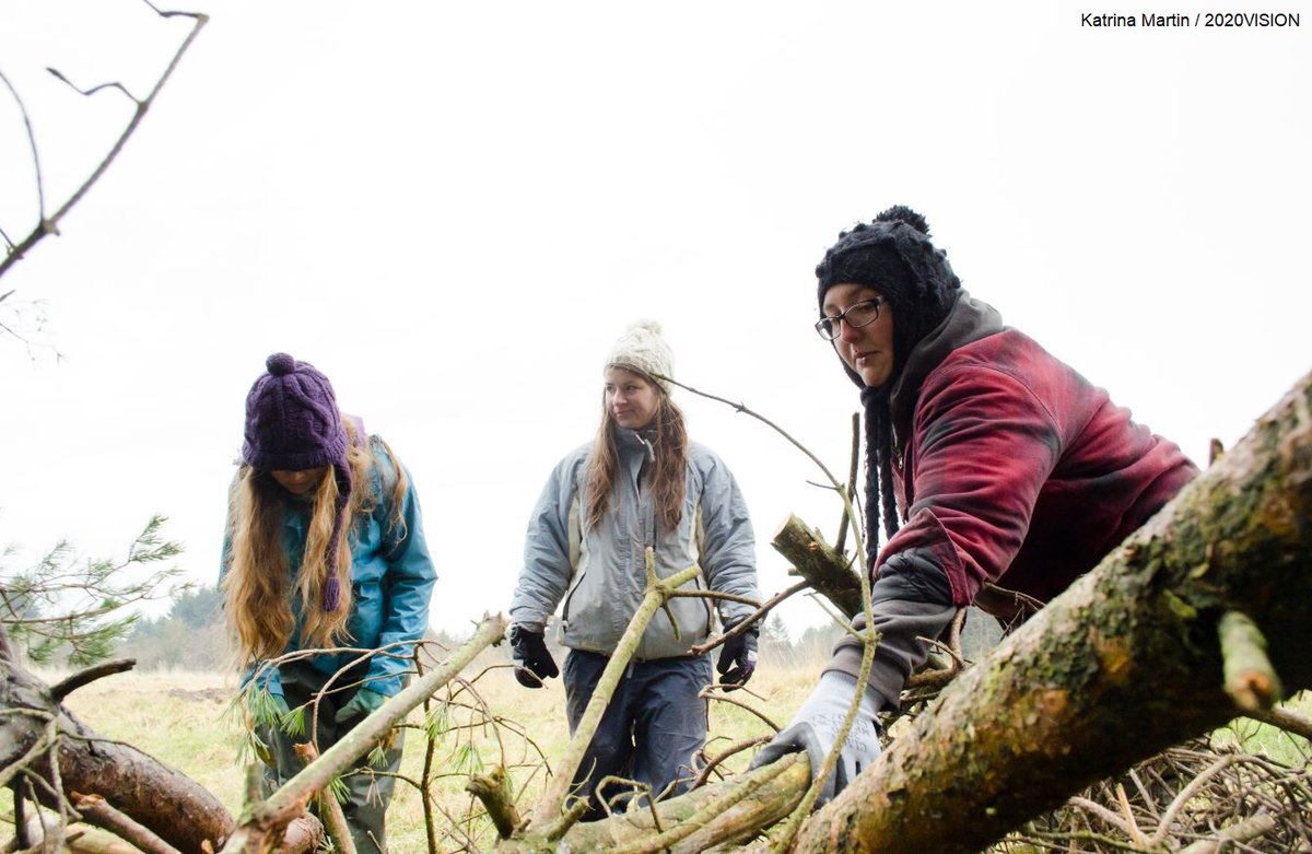 WildlifeTrusts's tweet image. Restoring nature takes a huge team with varied skills! 💪

This #TLevelThursday read about the unique industry placements bringing students into the conservation sector 👇 
wildlifetrusts.org/blog/guest/t-l… @GatsbyEd