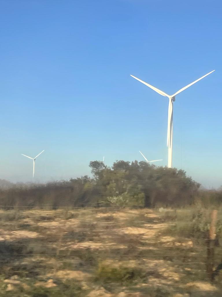 I 💜 Weskus Newsletter - mailchi.mp/bc2037084eb7/i…

Click on Facebook Page Newsletter tab to subscribe to this monthly newsletter.

PHOTO: Finn Pretorius
Location: Hopefield