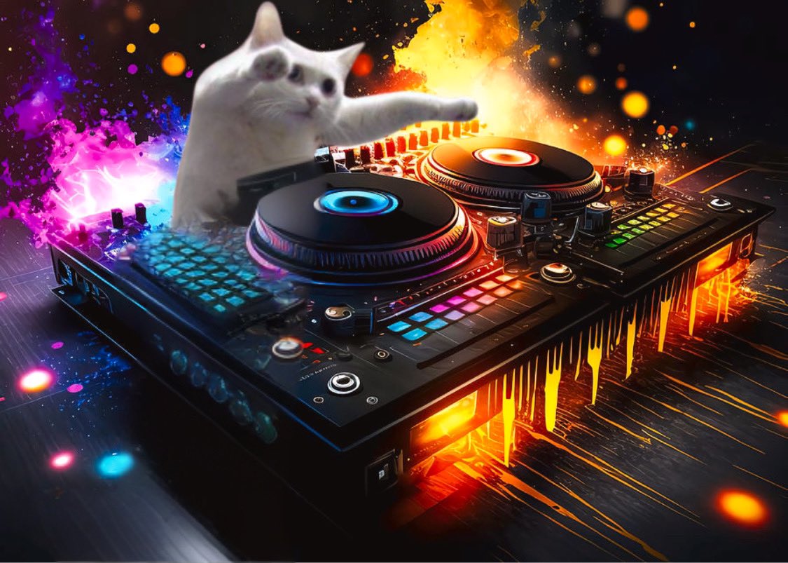 $LONG the cats tweet media