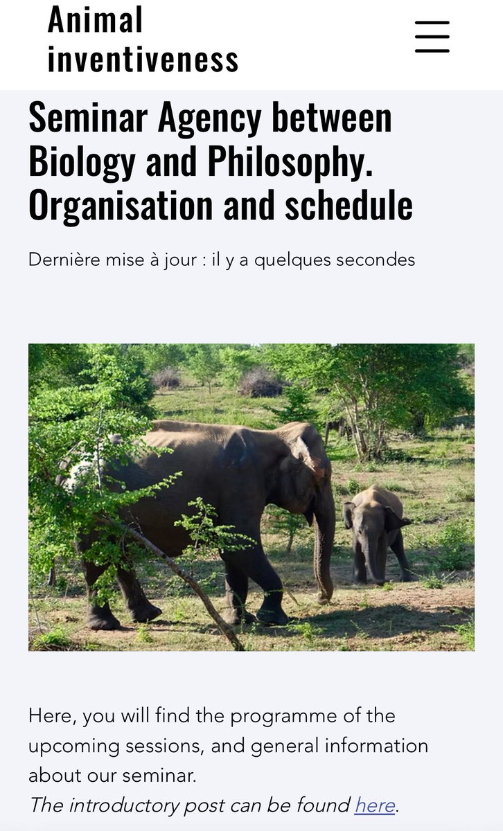 Animal Inventiveness Research Project tweet media