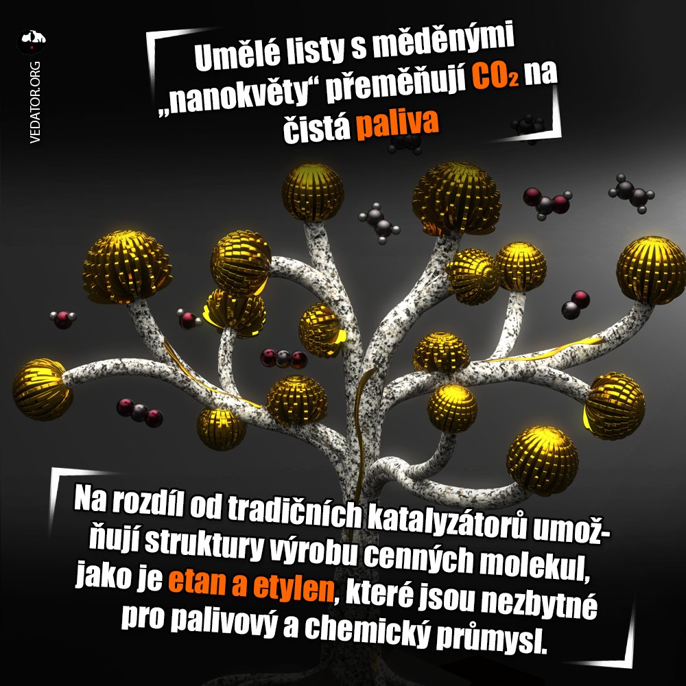 Vedator5's tweet image. 💨 Jak je proces efektivní, je stále předmětem zkoumání (a nejspíše se to tradičním palivům furt nevyrovná), schopnost vyrábět komplexní uhlovodíky představuje výrazné zlepšení oproti předchozím metodám. 

Víc u kemů hír ► 
joh.cam.ac.uk/tiny-copper-fl… 🗞️

#chemie #veda #science