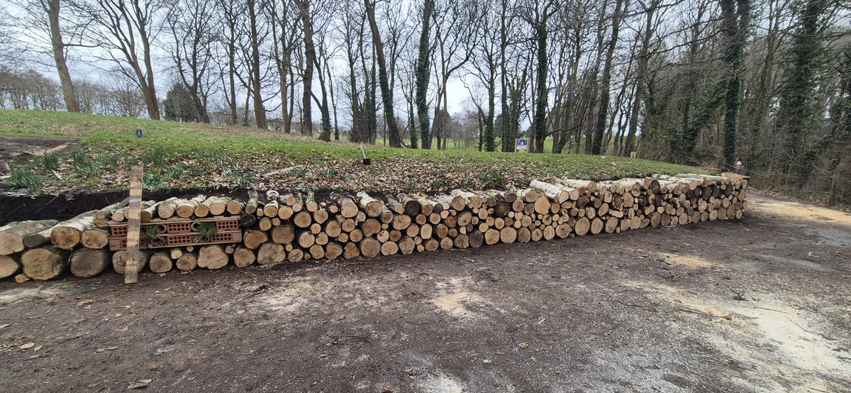 PGC Greenkeeper (@jameshargreav10) on Twitter photo Ecology day!
A great start today building the new bug/wildlife wall alongside the 18th tee by the greens staff and working party 👍👍 <a href="/Penwortham_GC/">Penwortham Golf Club</a> <a href="/PenworthamGCGr1/">@PenworthamGCGreens</a> Ecology day!
A great start today building the new bug/wildlife wall alongside the 18th tee by the greens staff and working party 👍👍 <a href="/Penwortham_GC/">Penwortham Golf Club</a> <a href="/PenworthamGCGr1/">@PenworthamGCGreens</a>