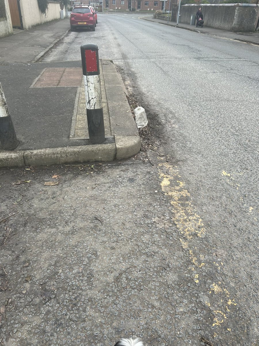 David little tweet media