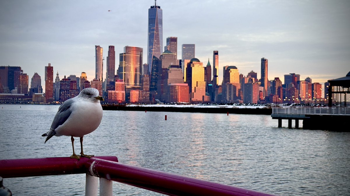iPraVyn's tweet photo. Hudson கரையோரம் …

#ipravyn 
#hudson
#newyorkskykine https://t.co/c2Klfa62od