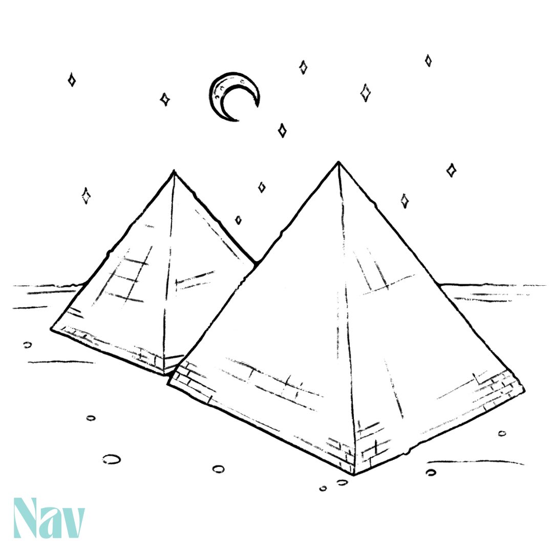 The Navigator tweet media