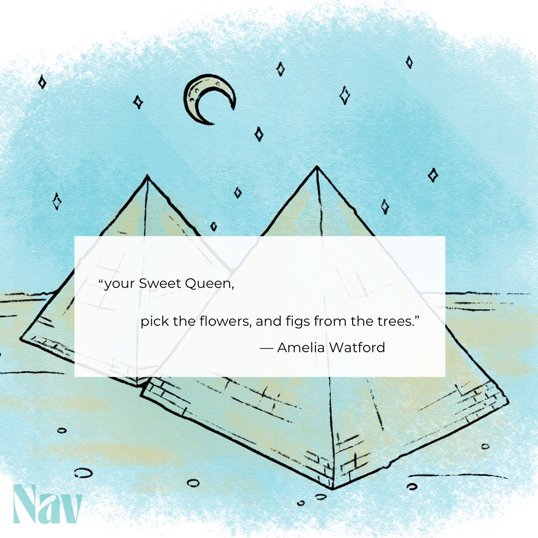 The Navigator tweet media